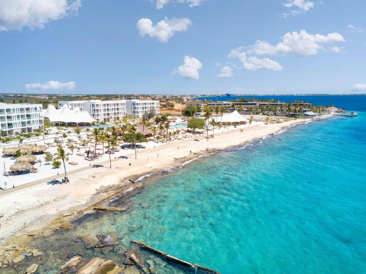 Chogogo Dive & Beach Resort Bonaire Playa Kültér fotó
