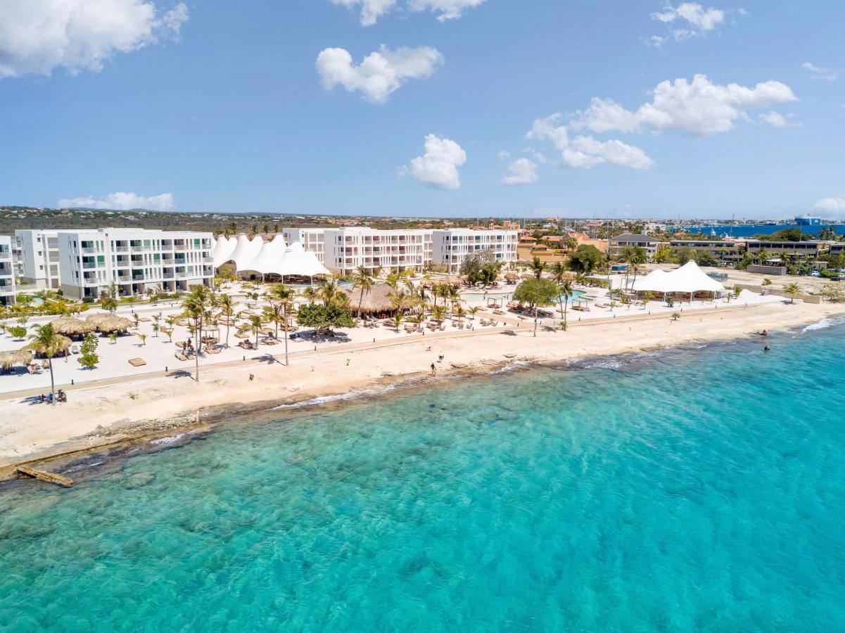 Chogogo Dive & Beach Resort Bonaire Playa Kültér fotó