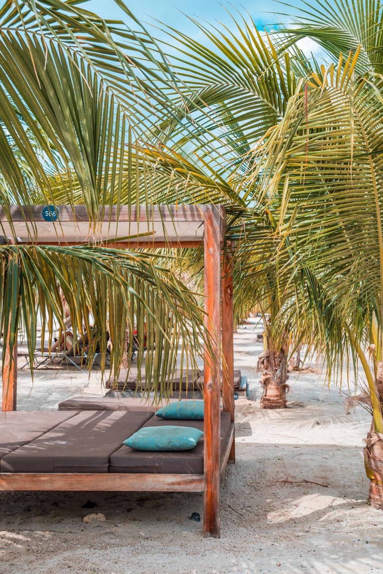 Chogogo Dive & Beach Resort Bonaire Playa Kültér fotó