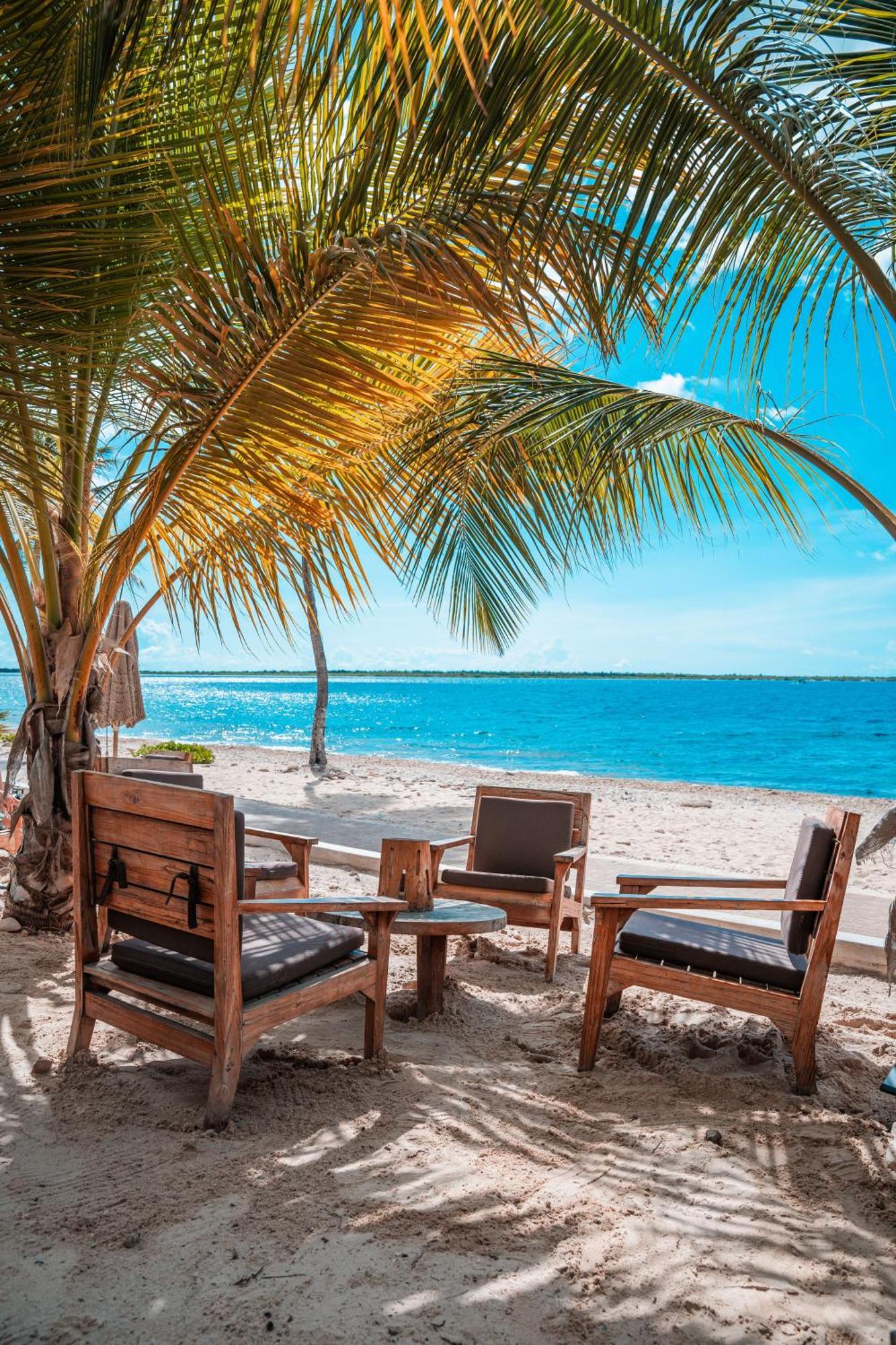Chogogo Dive & Beach Resort Bonaire Playa Kültér fotó